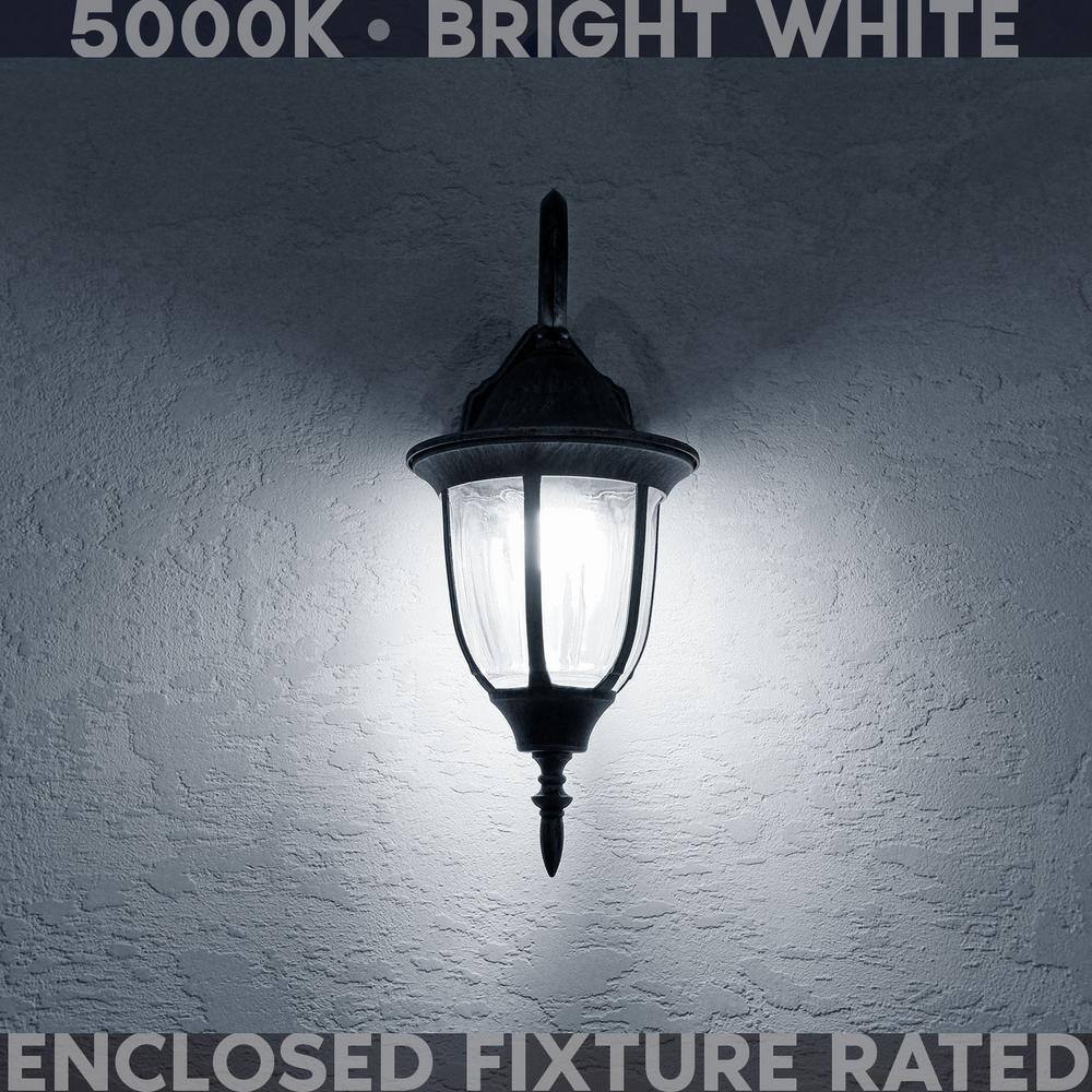 None 60-Watt Equivalent HX10.5 Glass Dimmable E12 Base Edison LED Light Bulb 4.5-Watt 500 Lumens Wet Rated 5000K (24-Pack)