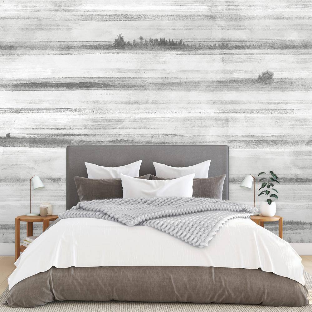 None Dove Grey COntemporary Jet Set Wall Mural