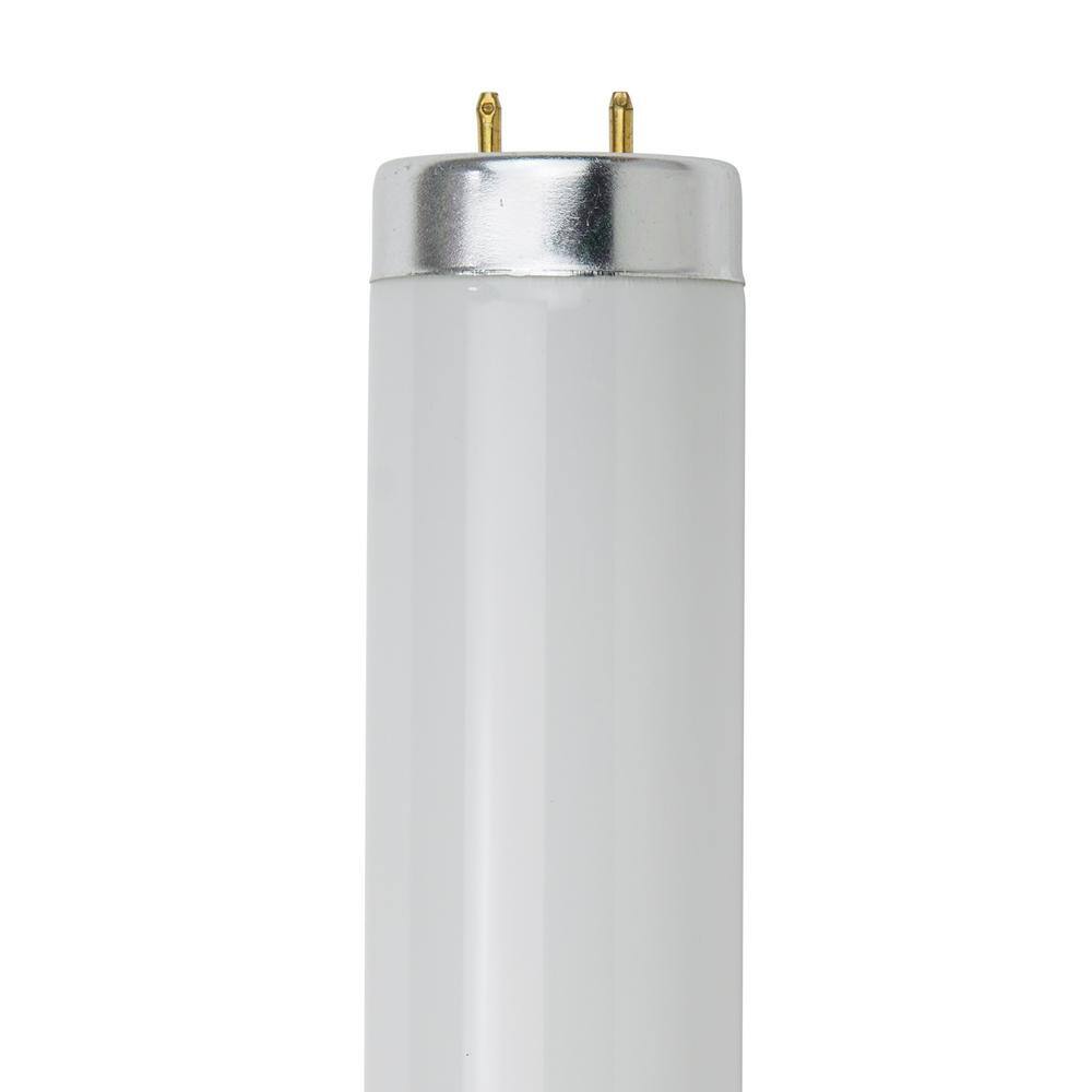 Sunlite 2 ft. 20-Watt Linear T12 Medium 2-Pin (G13) Base Fluorescent Tube Light Bulb, Cool White 4100K (30-Pack)